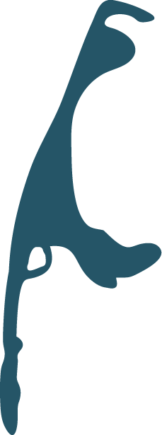Sylt Map